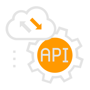 API Integration